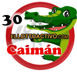 Imagen animalito Caimán de Lotto Activo